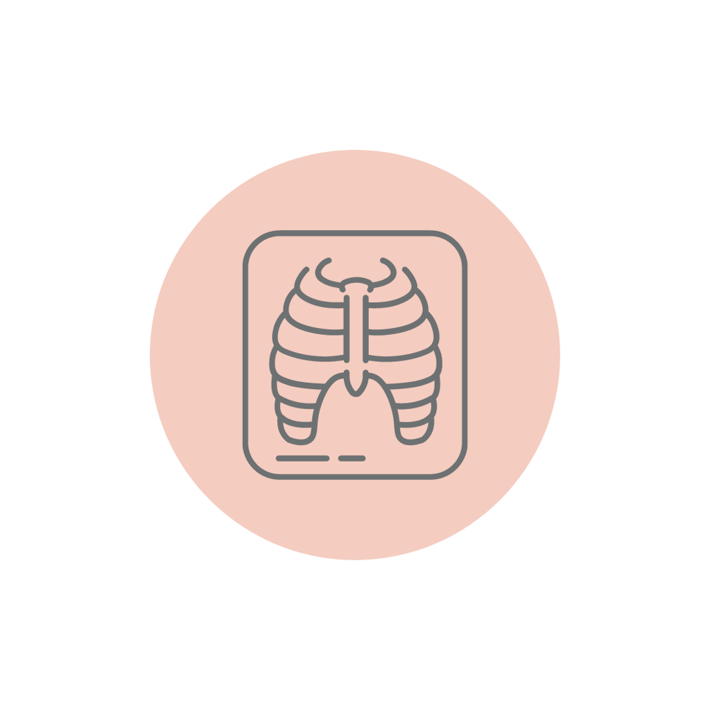 X-Ray Scanogram AP and Lateral