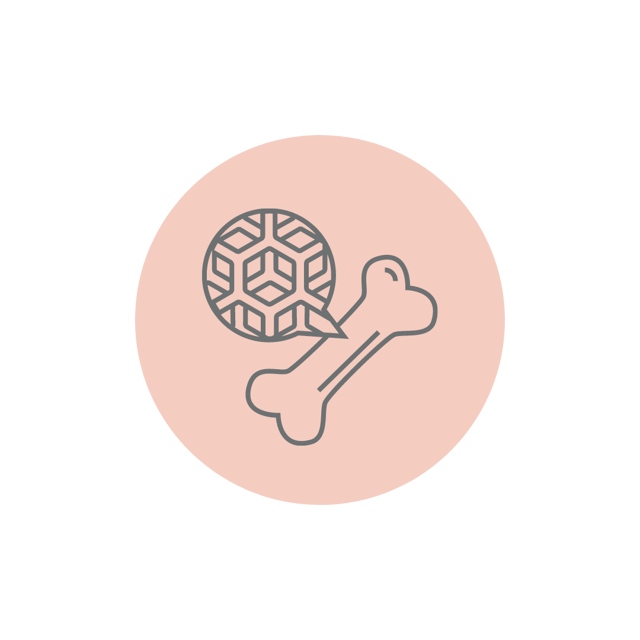 Bone Densitometry