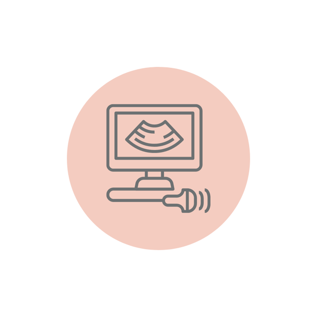 Ultrasound (USG) 3D and 4D ( Extra Charges)