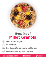 True Elements Millet Granola 450gm