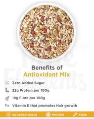 True Elements Antioxidant Mix 500gm
