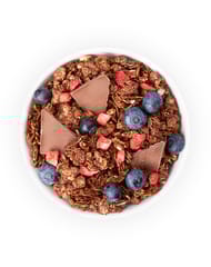 True Elements Baked Granola Almonds And Dark Chocolate 450gm