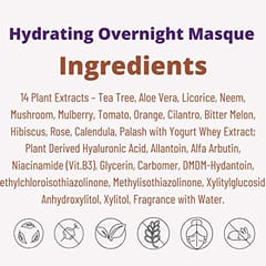 Tbox Skin Care Hydrating Overnight Masque, 50 Grams