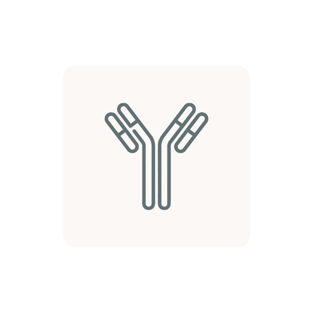 Rubella IgG Antibodies