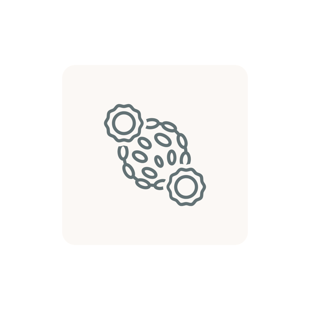 Myeloperoxidase (MPO) Stain