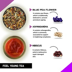 TEACURRY Anti Ageing Tea (1 month Pack | 30 tea Bags) - Feel Young Tea helps in Skin Glow, Hair Care and Premature Ageing