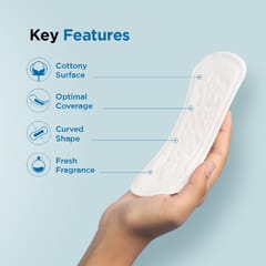 Pee Safe Panty Liners For Women Daily Use | Cottony Soft Surface | 155Mm Optimum Coverage | Curved Shape For Extra Comfort | Keeps You Fresh And Dry All Day Long | Pack Of 40 Liners