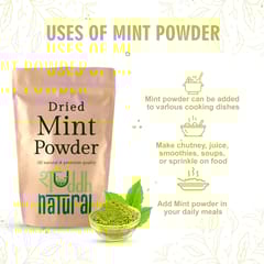 Mint powder I Aromatic Flavor I 100 gm